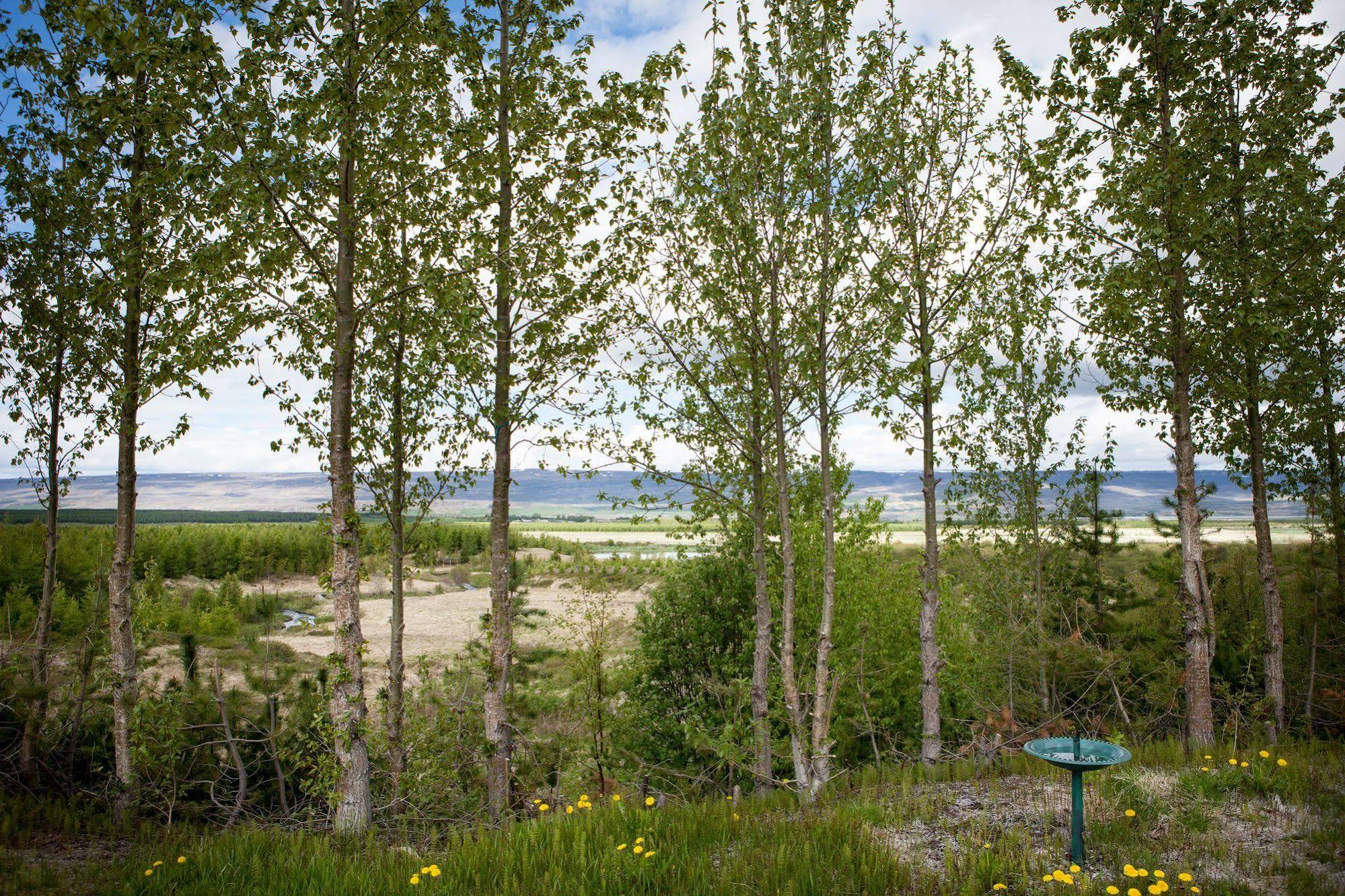 Kalda Lyngholt Villa Egilsstaðir Buitenkant foto
